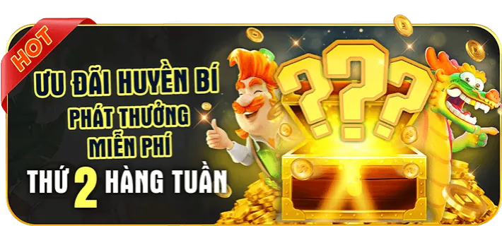 Ưu Đãi Dành Cho Thành Viên VIP dkbet8