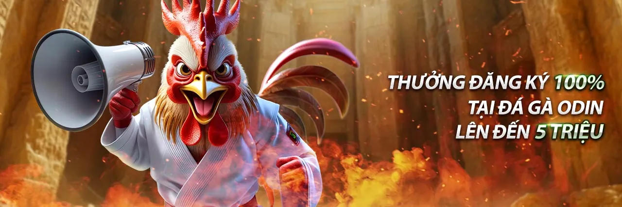 dkbet8 Nền tảng Cá cược & Giải trí Trực tuyến Hàng đầu Việt Nam