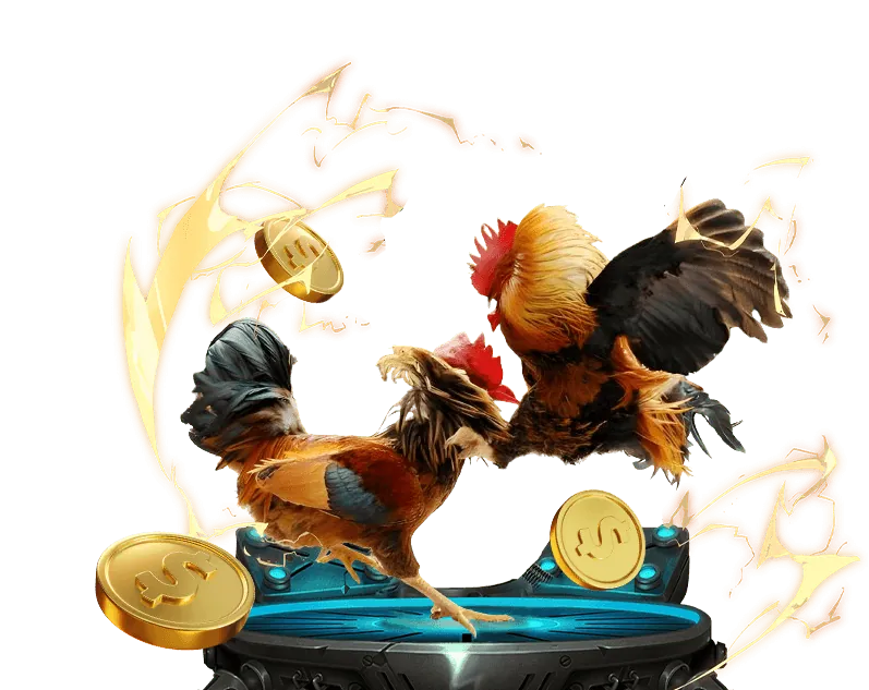 Ưu đãi hoàn trả cao hơn và thưởng nạp tiền đặc biệt cho thành viên VIP dkbet8